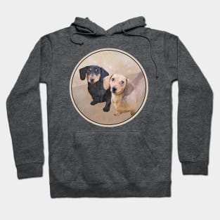 Smooth Dachshund Painting - Cute Original Dog Art Hoodie